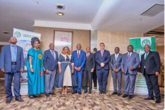 Cameroon: consolidated figures for the financial statements of Cameroon Oil Depots company(SCDP) in 2023