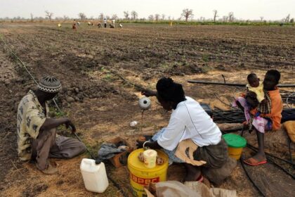 Agriculture : South Sudan government, World Bank and FAO step up their actions