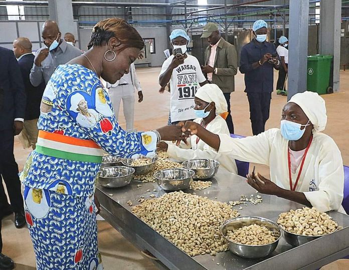 Ivory-Coast: the Boundiali cashew nut processing plant will start trial production in August 2024