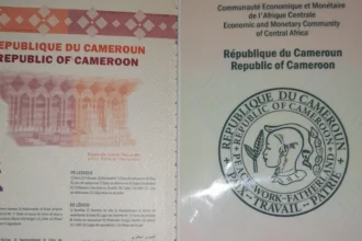 visas cameroon