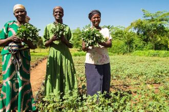 Africa: African Development Bank provides $102.79 million in financing for farmers in Guinea, Senegal and Togo