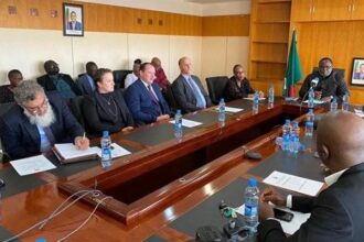 Zambia : Canada's Ivanhoe Mines begins copper exploration