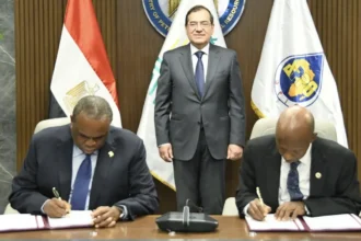 Africa: the launch of a $5 billion energy bank to bridge financing gaps and drive the energy transition