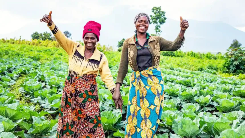 Ivory Coast and Ghana Launch a Cross-Border Agro-Industrial Park to Transform West Africa’s Food Economy