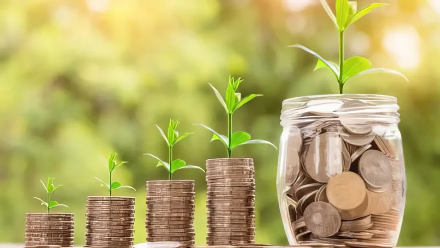 Cameroon: microfinance as a tool for financial inclusion or a debt trap