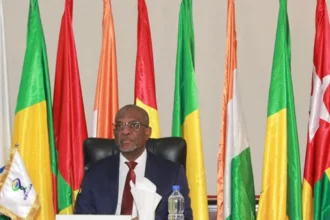 WAEMU Exports: Oil, Gold and Cotton Down