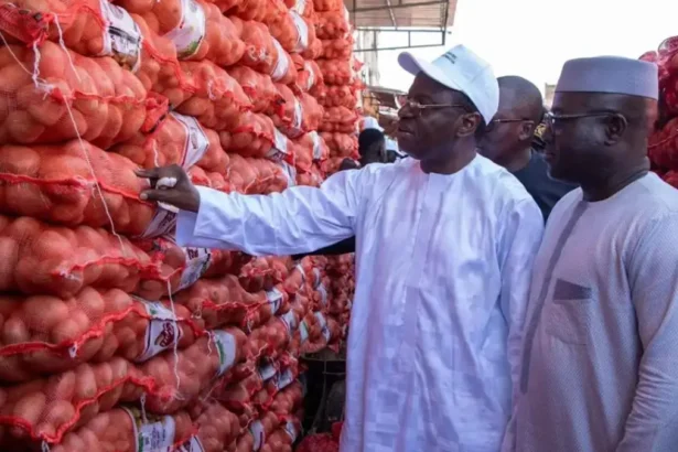 Onions in Senegal: import freeze officially lifted